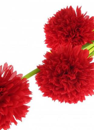 Хризантема шаровидная декоративная красная2 фото