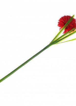 Хризантема шаровидная декоративная красная3 фото