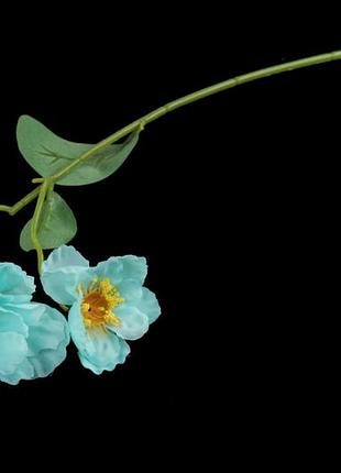 Анемона декоративна блакитна