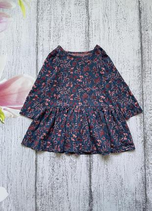 Круте котон сукня туніка pep&co 9-12мес