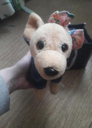 Собачка в сумочці 2