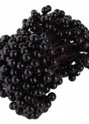 Калина декоративна (двостороння)