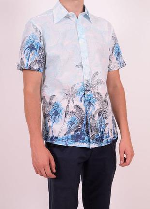 Шведка мужская. zoor.