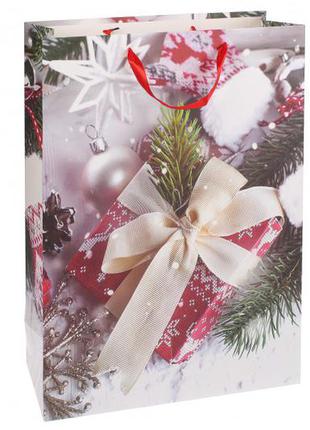 Новорічний подарунковий пакет