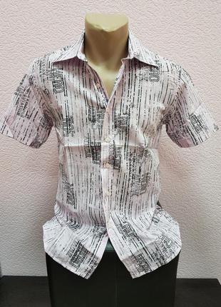 Шведка мужская. zoor.