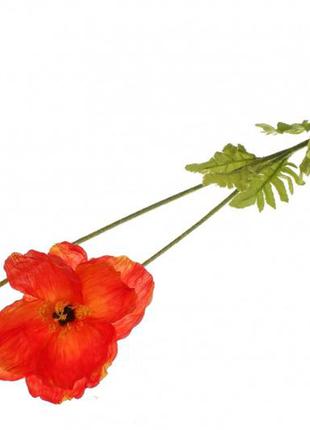 Мак декоративний червоний