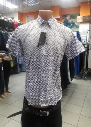 Шведка мужская. zoor.