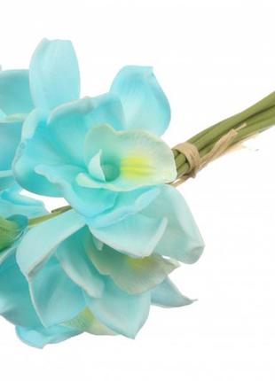 Орхидея цимбидиум декоративная (голубая)