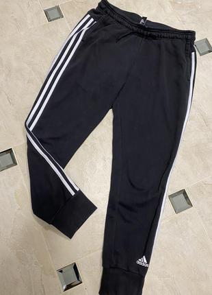 Штани чоловічі штани must haves 3-stripes dp24152 фото