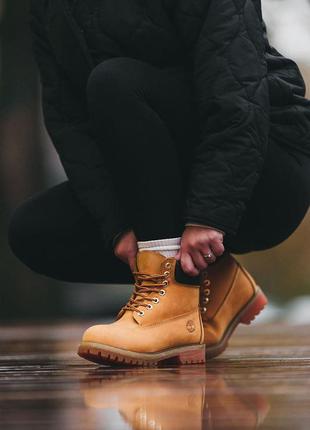 Шикарные женские зимние ботинки timberland ginger горчичные на меху3 фото