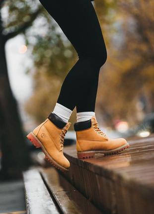 Шикарные женские зимние ботинки timberland ginger горчичные на меху4 фото