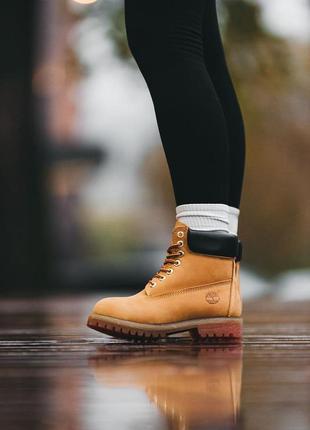 Шикарні жіночі зимові черевики timberland ginger гірчичні на хутрі10 фото