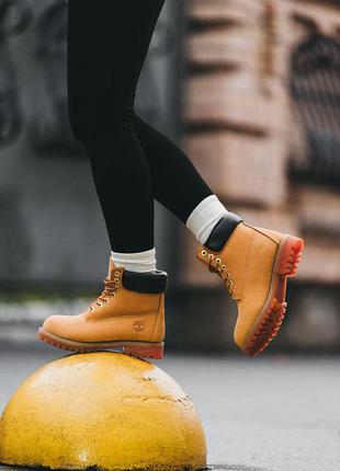 Шикарні жіночі зимові черевики timberland ginger гірчичні на хутрі8 фото