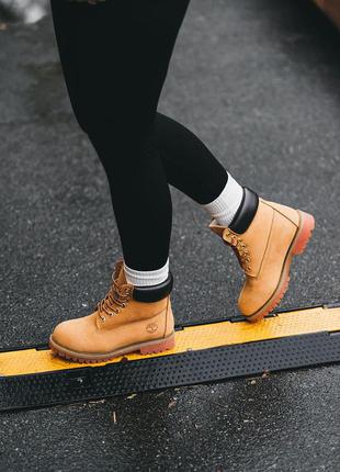 Шикарные женские зимние ботинки timberland ginger горчичные на меху5 фото