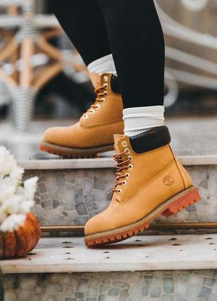 Шикарные женские зимние ботинки timberland ginger горчичные на меху1 фото