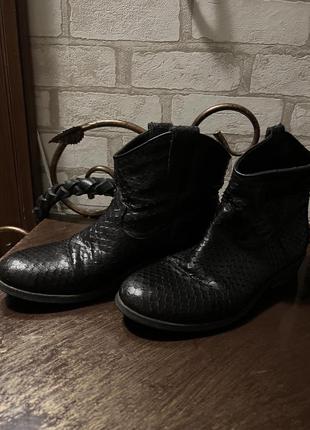 Кожаные ботинки/ботильоны billibi copenhagen под кожу питона2 фото