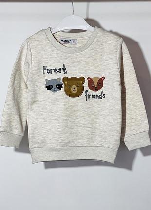 Свитшот утепленный для мальчика wanex 14829 74 см бежевый