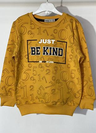 Світшот для хлопчика 116 см toontoy