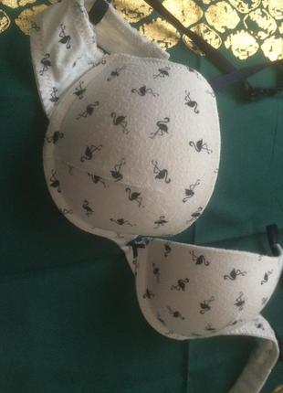 Крутий ліф oggi.70 b