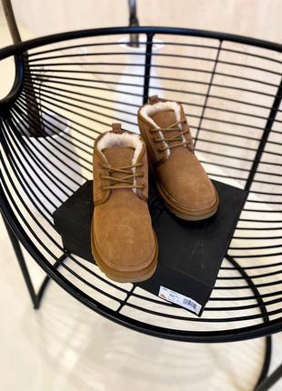 Угги ugg ginger5 фото