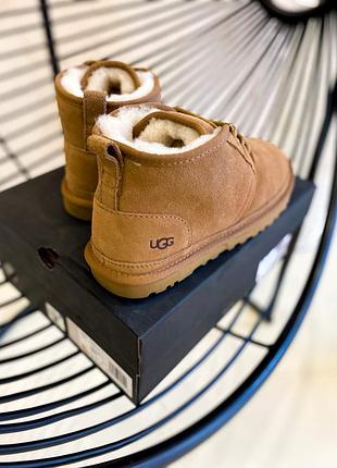 Угги ugg ginger 4