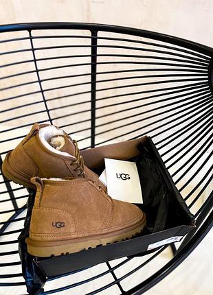Уггі ugg ginger brown 3