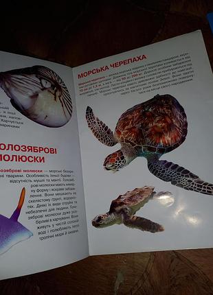 Книга 2