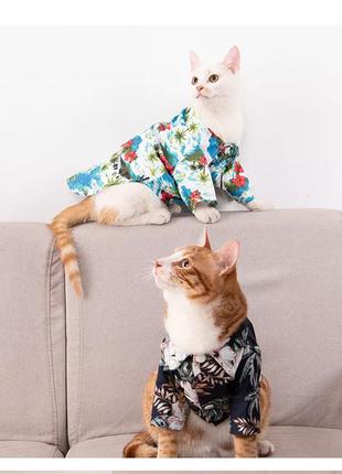 Рубашка нарядная для домашних питомцев / животных / для кошек и собак / праздничная3 фото