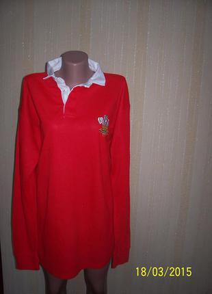 Чоловічі спортивні светри