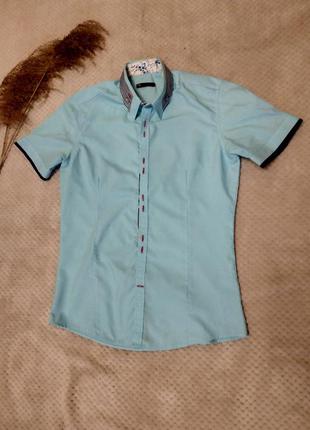 Теніска чоловіча