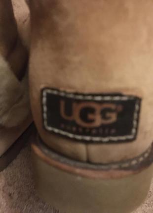 Зимові чоботи ugg3 фото