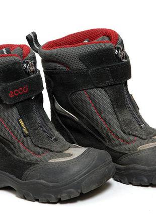 Ботинки ecco gore-tex