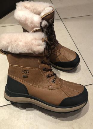 Зимние ботинки сапоги ugg adirondack2 фото