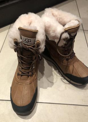 Зимние ботинки сапоги ugg adirondack