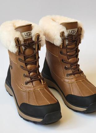 Зимние ботинки сапоги ugg adirondack