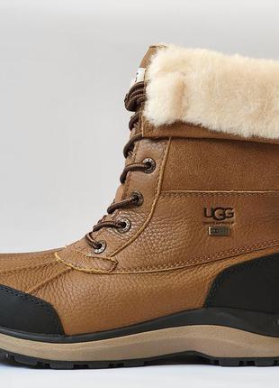 Зимние ботинки сапоги ugg adirondack