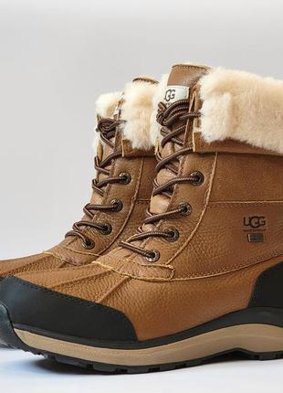 Зимние ботинки сапоги ugg adirondack