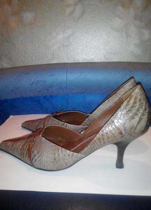 Еліт монарх, бразилія, р. 41, шкіра