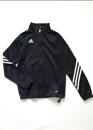 Олімпійка від adidas