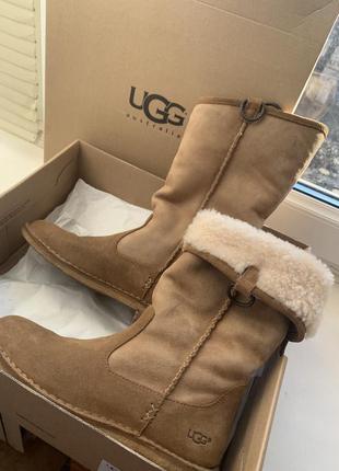 Оригінальні чоботи ugg. 37 розмір. ідеальний стан.1 фото