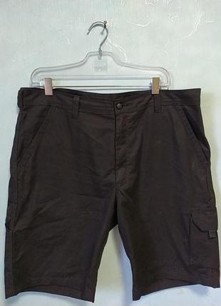 Шорти чоловічі бавовна 💯