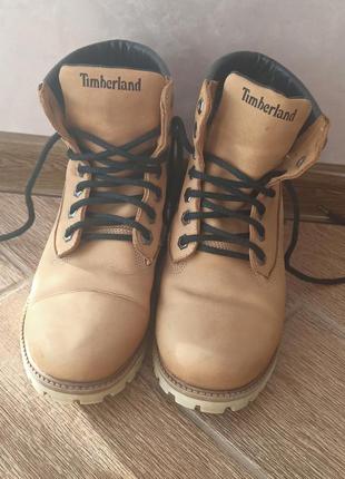 Сапожки / сапоги / ботинки / timberland1 фото