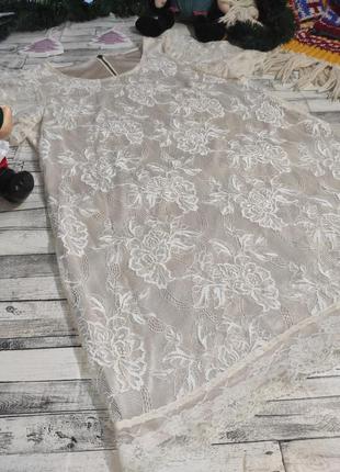 Сукня міді мереживне ніжне віскоза h&m3 фото