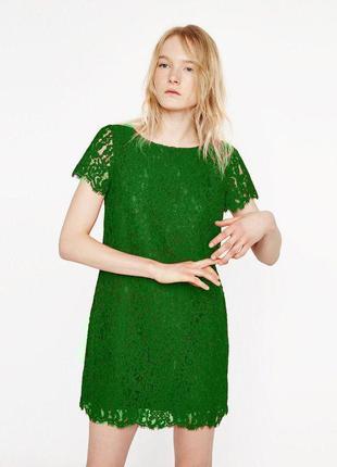 Зелене мереживне плаття zara