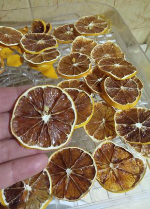Сушені лимони для рукоділля.3 фото