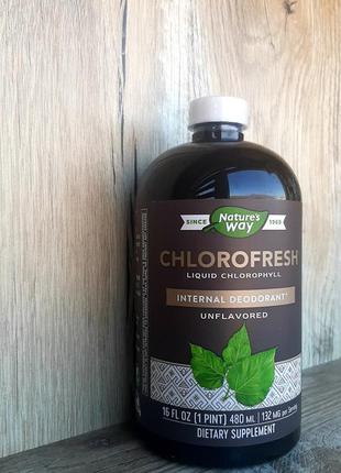 Nature's way 
chlorofresh, жидкий хлорофилл, без добавок, 480 мл3 фото