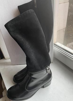 Зимові чоботи alex bell.