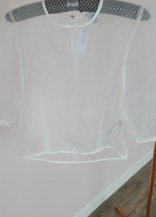 Блуза из органзы topshop