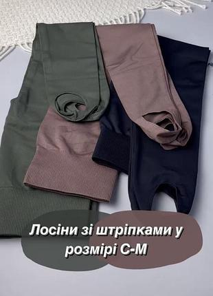 Бесшовные лосины с штрипками из микрофибры