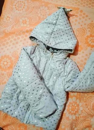 Демисезонная куртка